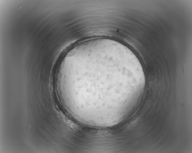 X0000062890979200601271643