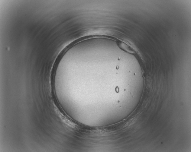 X0000062890980200601271643