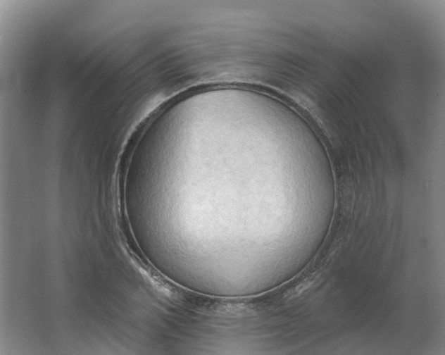 X0000062890982200601271643