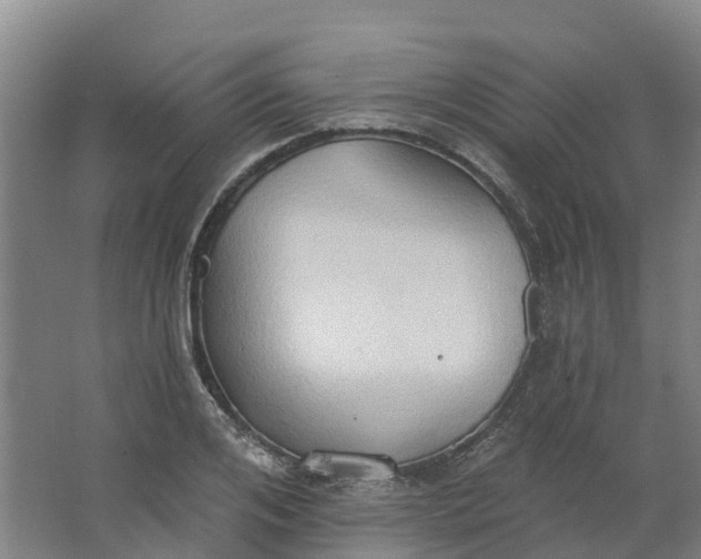 X0000062890984200601271643