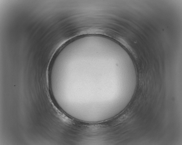 X0000062890988200601271643