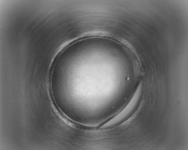 X0000062890989200601271643