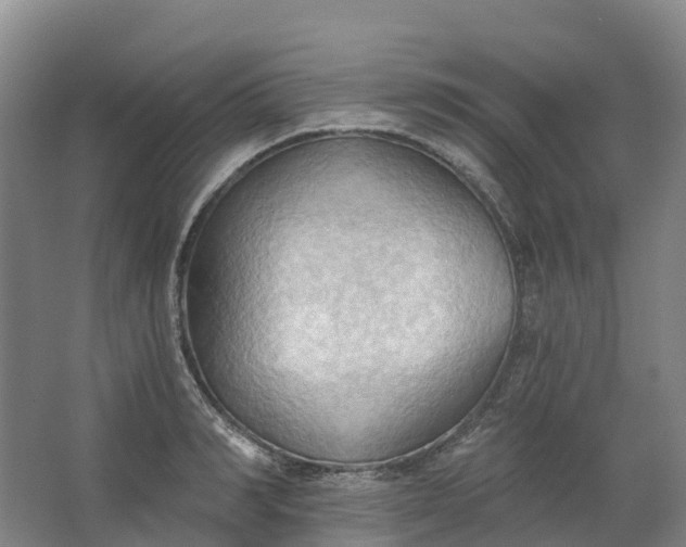 X0000062890990200601271643