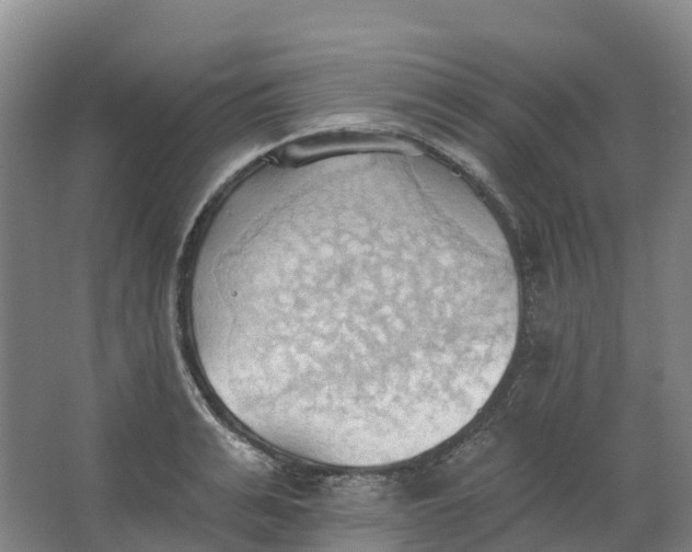 X0000062890991200601271643