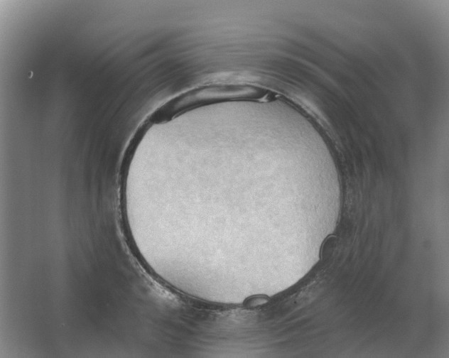 X0000062890992200601271643