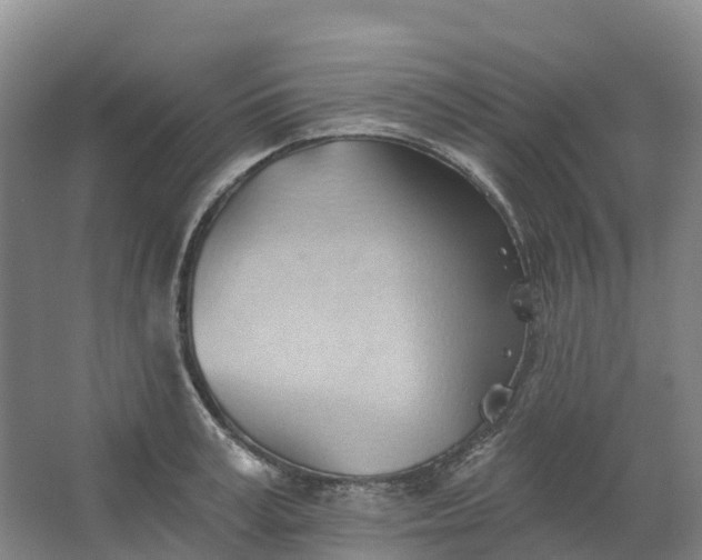 X0000062890995200601271643