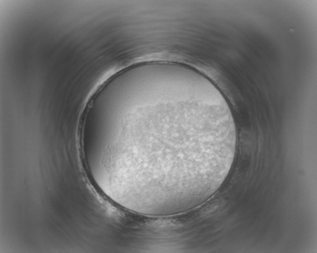 X0000062890998200601271643