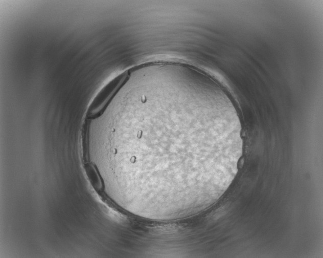 X0000062890999200601271643