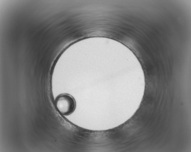 X0000062891000200601271643