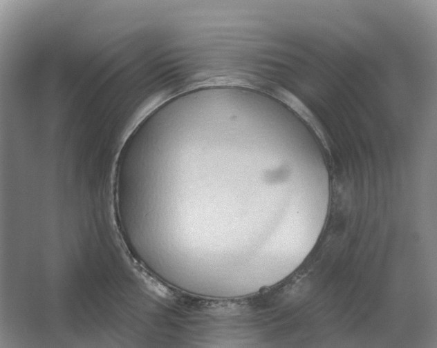 X0000062891002200601271643