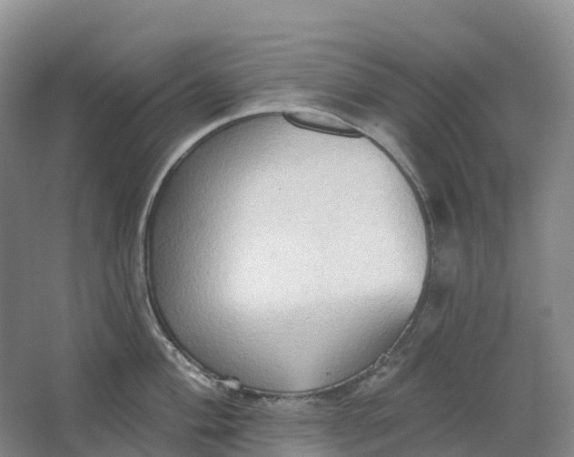 X0000062891004200601271643