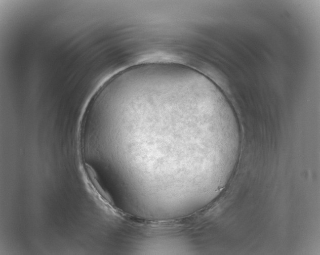 X0000062891008200601271643