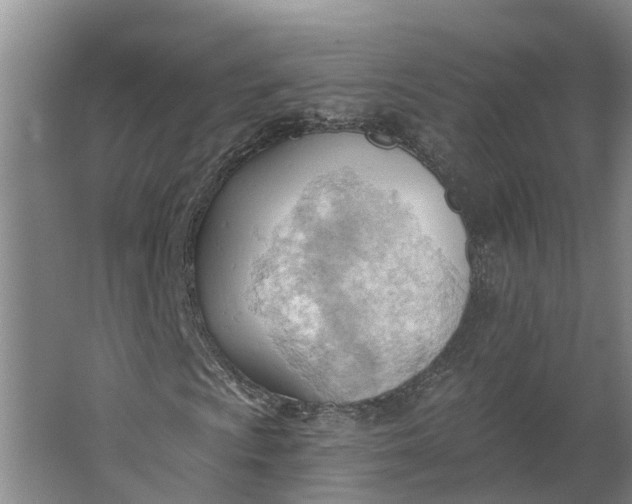 X0000062891009200601271642