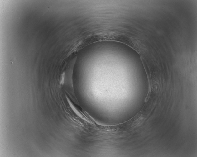 X0000062891010200601271642