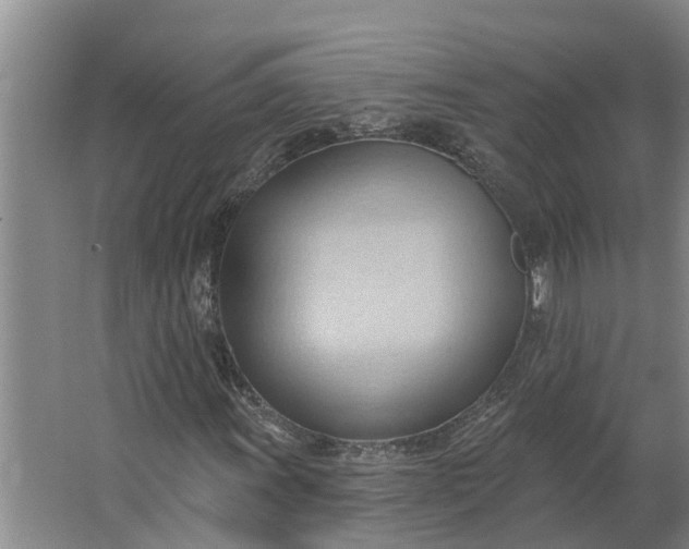 X0000062891011200601271642