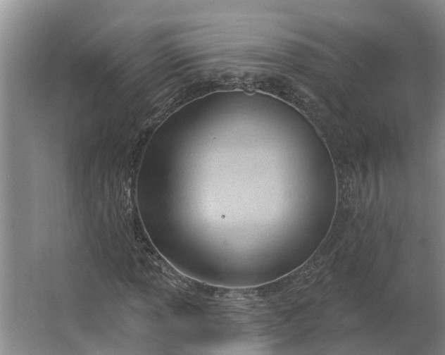 X0000062891013200601271642