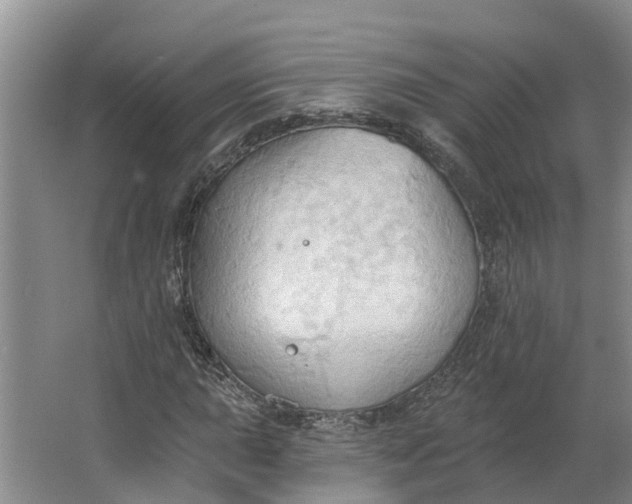 X0000062891015200601271642