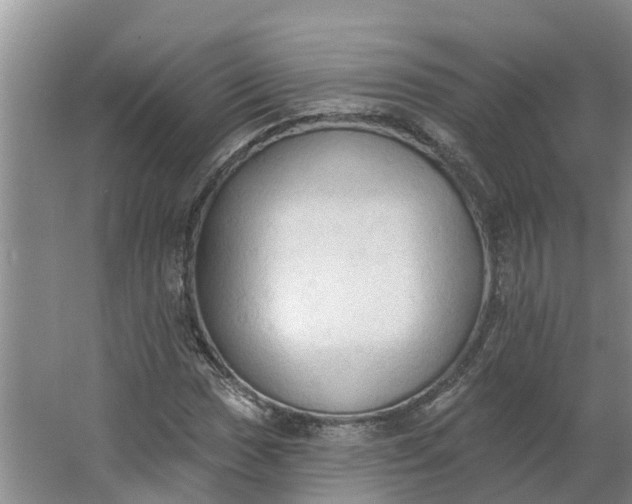 X0000062891017200601271642