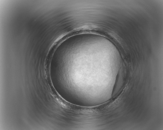 X0000062891018200601271642