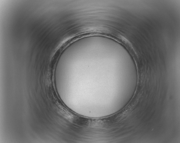 X0000062891019200601271642