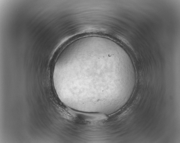 X0000062891021200601271642