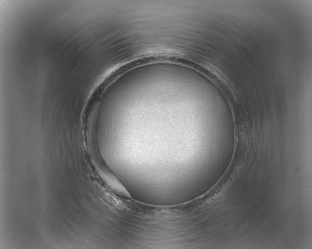 X0000062891022200601271642