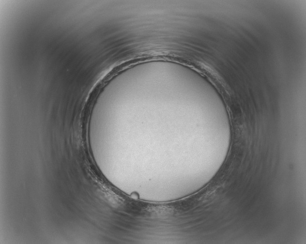 X0000062891023200601271642