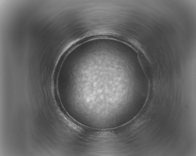 X0000062891024200601271642