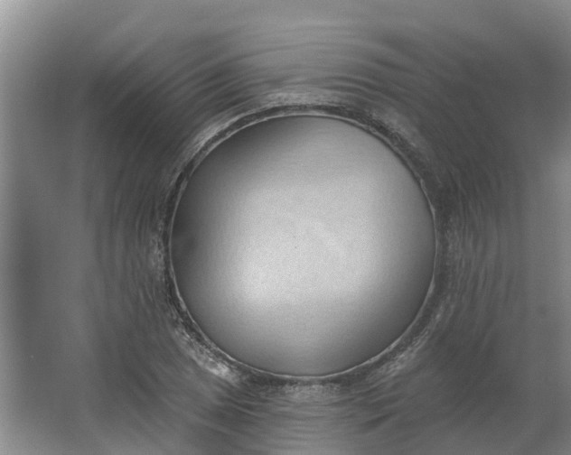 X0000062891025200601271642