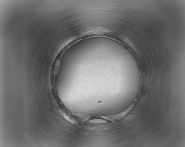 X0000062891026200601271642