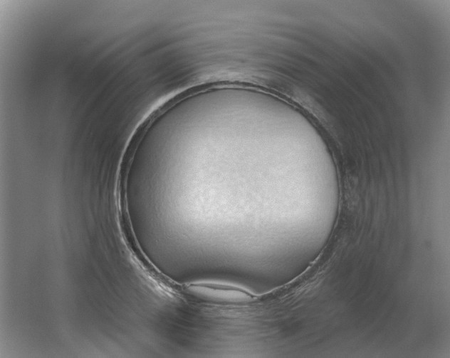 X0000062891028200601271642