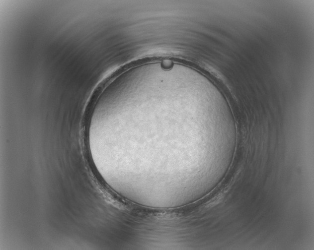 X0000062891029200601271642