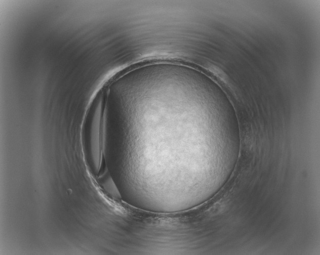 X0000062891030200601271642