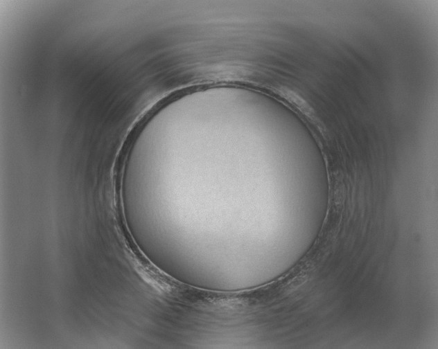 X0000062891031200601271642