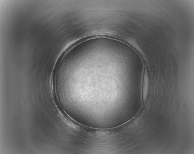 X0000062891032200601271642