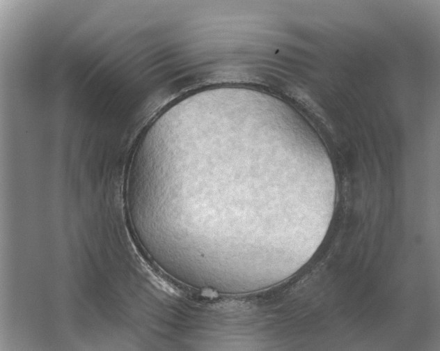 X0000062891033200601271642