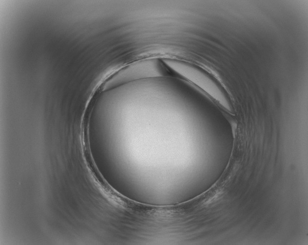 X0000062891034200601271642