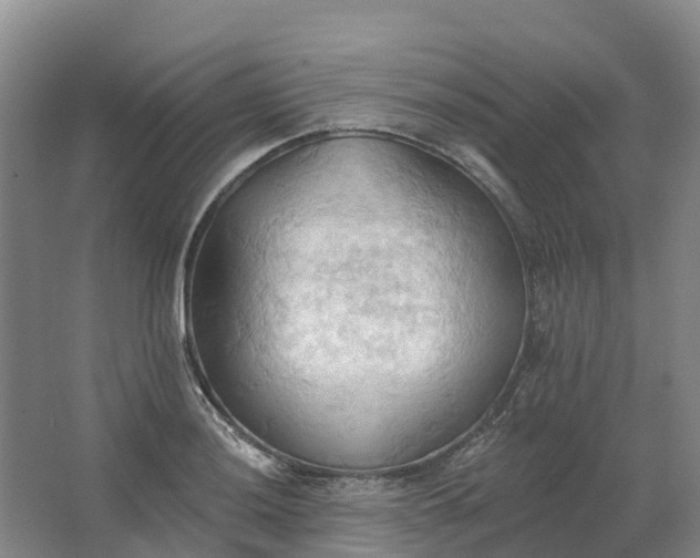 X0000062891036200601271642