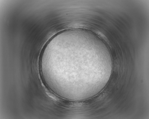 X0000062891039200601271642