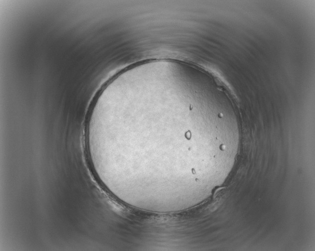 X0000062891040200601271642