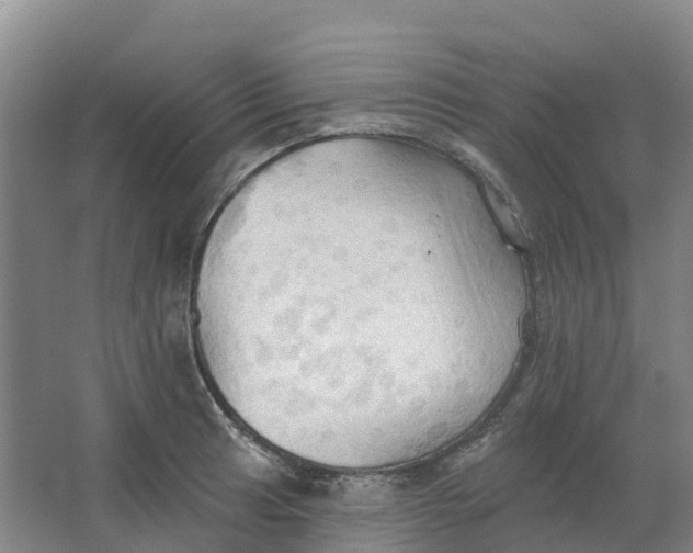 X0000062891041200601271642