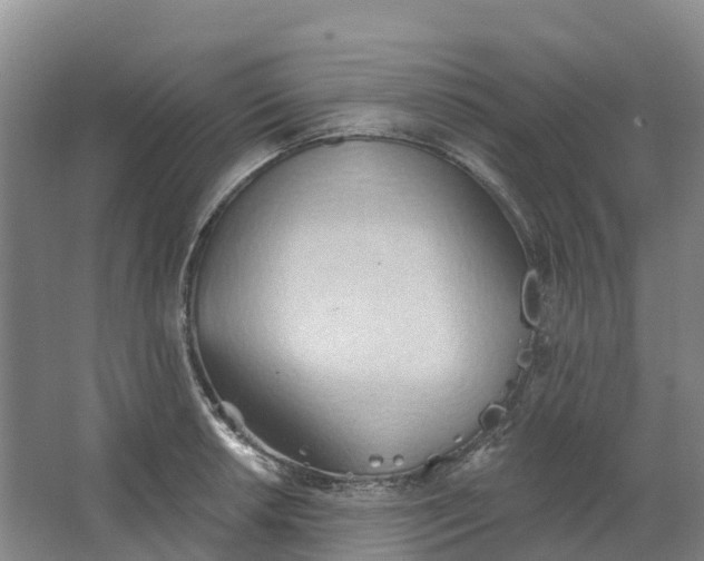 X0000062891042200601271642