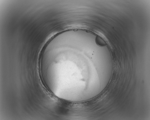 X0000062891043200601271642