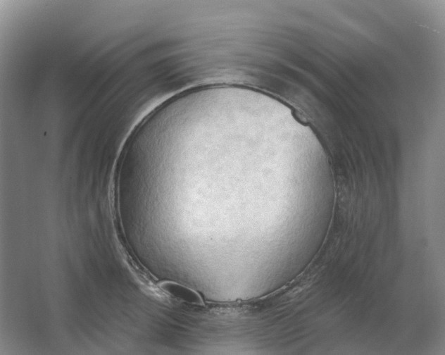 X0000062891044200601271642