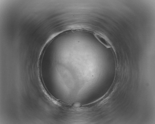 X0000062891045200601271642