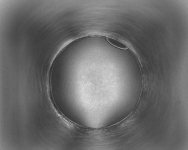 X0000062891048200601271642