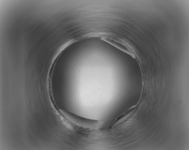 X0000062891050200601271642