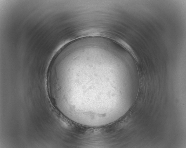 X0000062891051200601271642