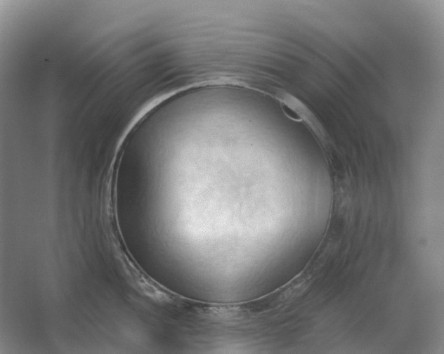 X0000062891052200601271643