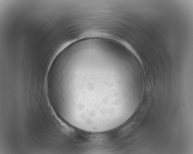 X0000062891053200601271643